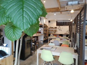 IMG_20240325_114024_copy_1600x1200