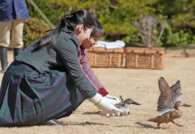 »º·Ð³û¾ì£²