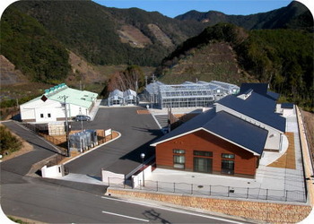 umeken_000