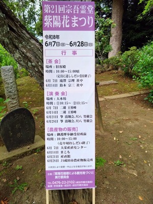 DSC_6064_copy_1200x1600