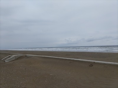 IMG_20240325_132727_copy_1600x1200