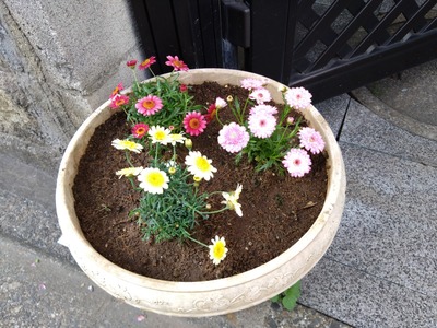 DSC_1583_copy_1600x1200