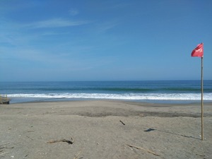 DSC_2990_copy_1600x1200