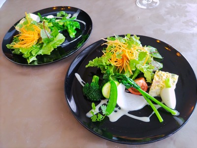 IMG_20230426_115040_copy_1600x1200