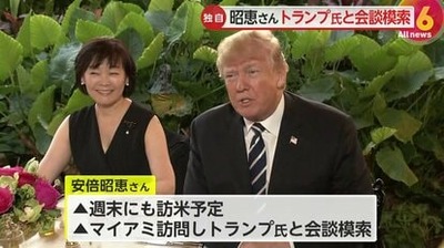 FNNフロリダ