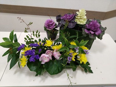 DSC_4605_copy_1600x1200