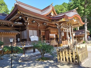 DSC_3534_copy_1600x1200