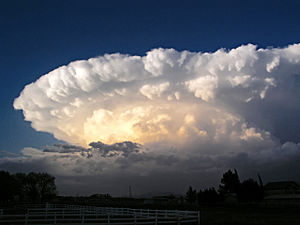 300px-Chaparral_Supercell_2