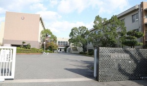 ���͹⹻��