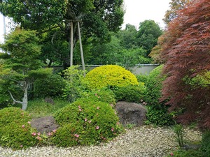 IMG_20220524_112546_copy_1600x1200