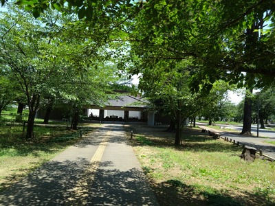 DSC_2100_copy_1600x1200