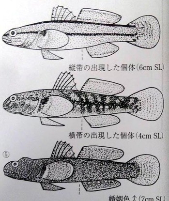 20130322050233