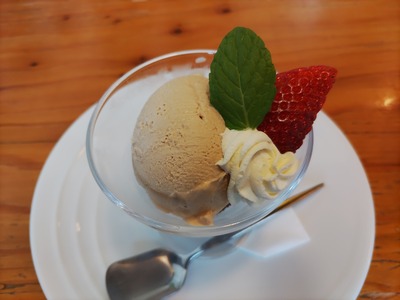 IMG_20240118_134244_copy_1600x1200