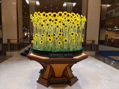 IMG_20220726_110820_copy_1600x1200