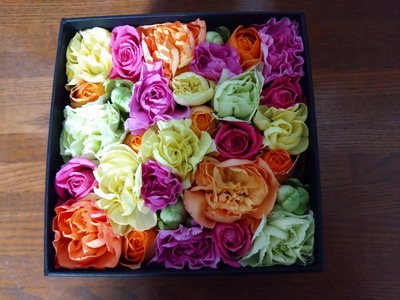 DSC_4424_copy_1600x1200