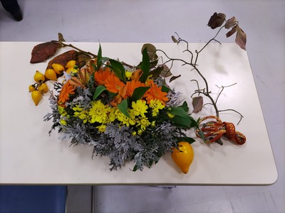 IMG_20241119_115328_copy_1600x1200