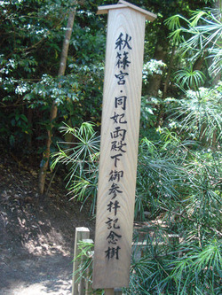 143264841682190726180_takatiho6