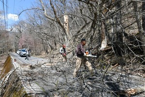 img_bf2be70f0d919228693bde5611eaeccc7492834
