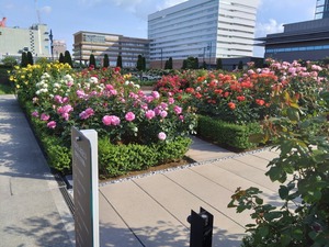 DSC_5875_copy_1600x1200