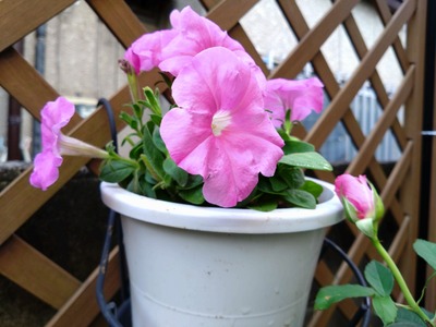 DSC_1585_copy_1600x1200