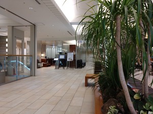 DSC_3416_copy_1600x1200