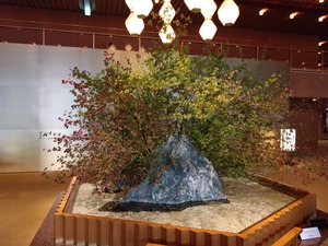 DSC_3881_copy_1600x1200