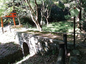 DSC_3539_copy_1600x1200