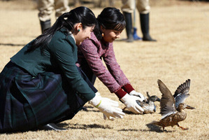 20250214-00000041-mai-000-2-view