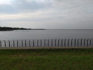 DSC_3317_copy_1600x1200