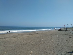 DSC_2989_copy_1600x1200