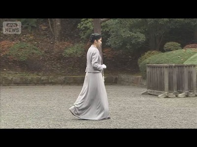 ANN����ŷ����