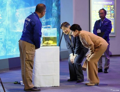 ����Ļ����