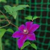 4e9d0767.jpg