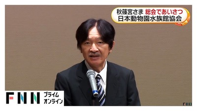 FNN�Ը�