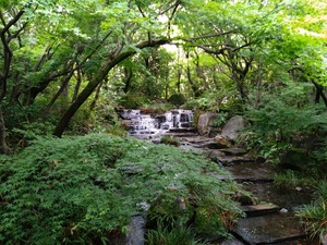 DSC_6256_copy_1600x1200