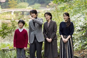 thumb-12159-1130m040174-domestic