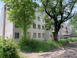 �ɱ�12���� 1��