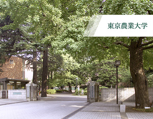main_slide02_sp