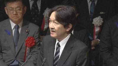 ���ܿ���ޣ�