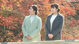 content_16737_52540_00004_medium