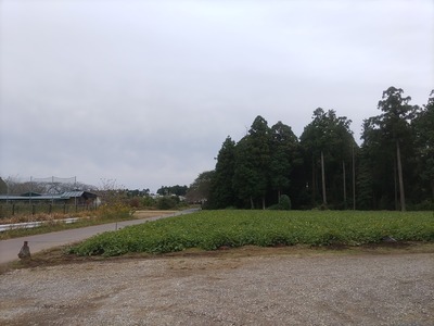 IMG_20211025_134956_copy_1600x1200