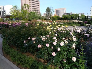 DSC_5880_copy_1600x1200