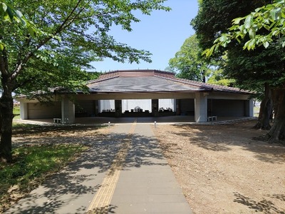 IMG_20230517_125937_copy_1600x1200_copy_640x480