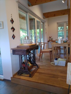 IMG_20230724_153519_copy_1200x1600