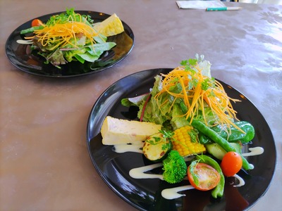 IMG_20220728_114544_copy_1600x1200