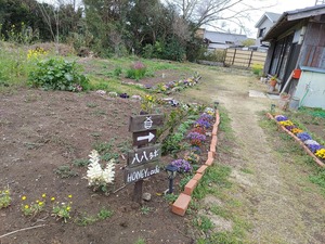 IMG_20240325_134905_copy_1600x1200