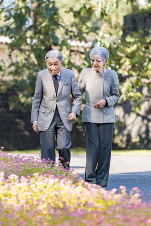 ��ģ�����