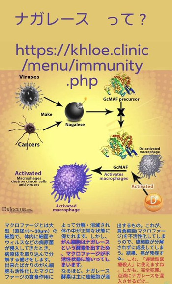 o0411068014847776967