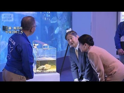 ANNĻ����²��