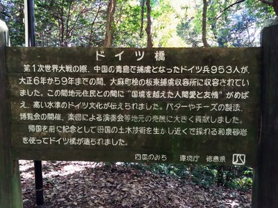 DSC_3542_copy_1600x1200